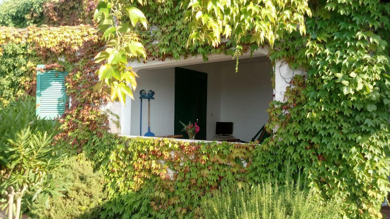 Appartamenti Salato Tropea Esterno foto